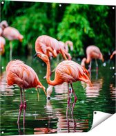 Gards Tuinposter Kudde Flamingo's in de Jungle in het Water - 100x100 cm - Tuindoek - Tuindecoratie - Wanddecoratie buiten - Tuinschilderij