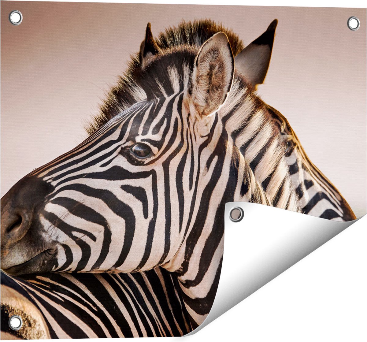 Gards Tuinposter Twee Knuffelende Zebra's - 50x40 cm - Tuindoek - Tuindecoratie - Wanddecoratie buiten - Tuinschilderij Multikleur