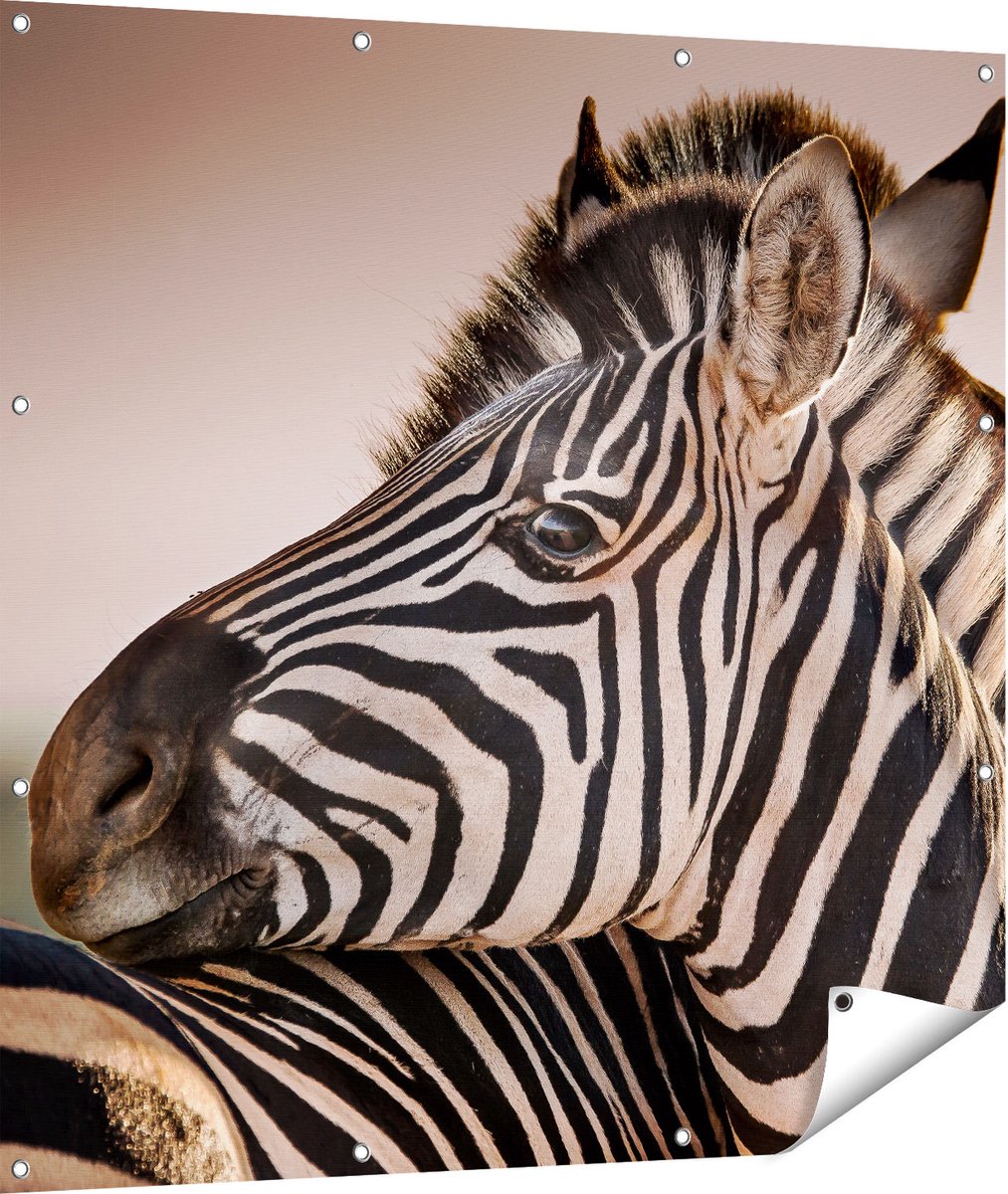 Gards Tuinposter Twee Knuffelende Zebra's - 110x110 cm - Tuindoek - Tuindecoratie - Wanddecoratie buiten - Tuinschilderij Multikleur