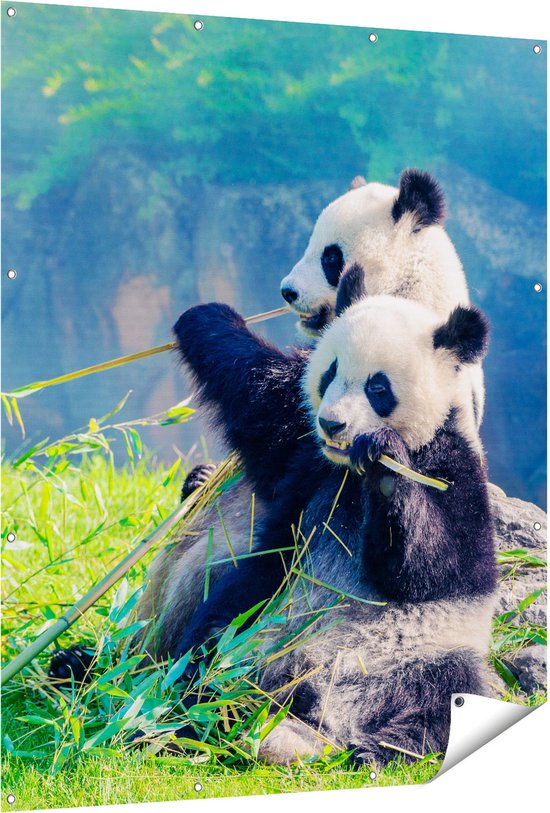 Sticker Panda. Autocollants Panda, Décoration Panda Chambre Enfant