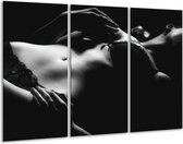 GroepArt - Schilderij -  Lichaam - Grijs, Zwart, Wit - 120x80cm 3Luik - 6000+ Schilderijen 0p Canvas Art Collectie