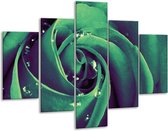 Glasschilderij -  Roos - Groen, Zwart - 100x70cm 5Luik - Geen Acrylglas Schilderij - GroepArt 6000+ Glasschilderijen Collectie - Wanddecoratie- Foto Op Glas