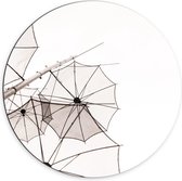 Dibond Muurcirkel - Doorzichtige Paraplu Vormen tegen Witte Achtergrond - 70x70 cm Foto op Aluminium Muurcirkel (met ophangsysteem)