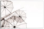 Dibond - Doorzichtige Paraplu Vormen tegen Witte Achtergrond - 60x40 cm Foto op Aluminium (Wanddecoratie van metaal)
