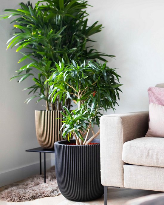 Capi Europe - Bloempot bol Groove NL - 35x34 - Goud - Opening Ø29 - Bloempot voor binnen en buiten - Levenslang garantie - Breukbestendig - 100% Recyclebaar - CO2 Neutraal geproduceerd - KGVGB932