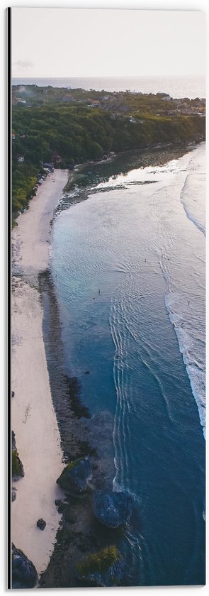 Dibond - Bovenaanzicht Strand bij de Bossen - 20x60 cm Foto op Aluminium (Met Ophangsysteem)