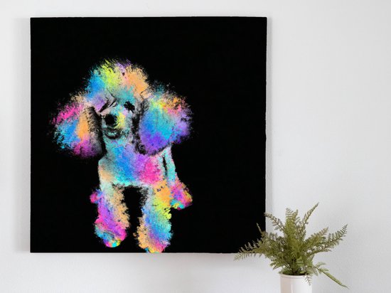 Preddy poodle paws | Preddy Poodle Paws | Kunst - 60x60 centimeter op Canvas | Foto op Canvas - wanddecoratie schilderij
