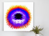 The urge to urchin kunst - 60x60 centimeter op Plexiglas | Foto op Plexiglas - wanddecoratie