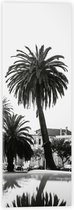 WallClassics - Acrylglas - Palmbomen in Amerikaanse Buurt (Zwart- wit) - 20x60 cm Foto op Acrylglas (Met Ophangsysteem)