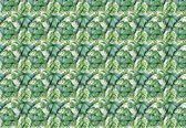 Fotobehang - Vlies Behang - Tropische Jungle Bladeren - Botanische Planten - 416 x 254 cm