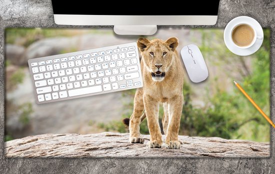 Bureau onderlegger - Leeuwin op een Steen - 80x40 cm - 2 mm Dik