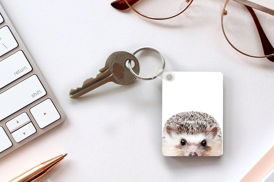 Porte-clés avec une tête de hérisson, à côté d'un clavier et de lunettes.