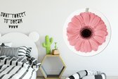 Bloem - Rose - Nature - Plante 6