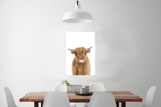 Highlander écossais - Animaux - Marron - Nature