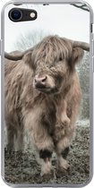 iPhone 8 hoesje - Schotse hooglander - Natuur - Herfst - Dieren - Wild - Bos - Siliconen Telefoonhoesje
