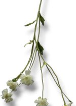 Fleur artificielle Centaurea Madelon - crème - 64 cm
