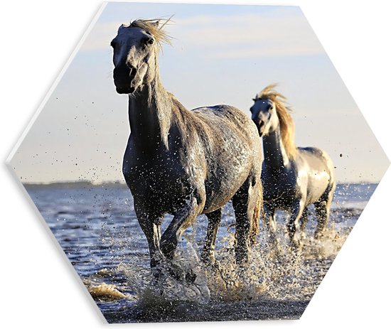 PVC Schuimplaat Hexagon - Rennende Paarden door het Lage Zeewater - 30x26.1 cm Foto op Hexagon (Met Ophangsysteem)
