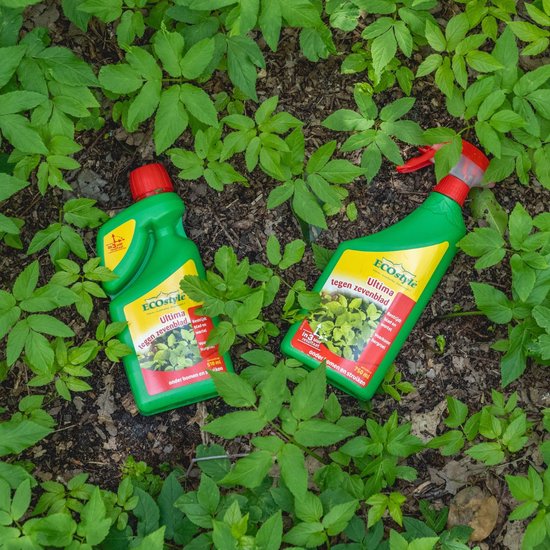ECOstyle Ultima Zevenblad Concentraat Onkruidverdelger - Voor Lastig te Bestrijden Onkruid - Bestrijdt Blad & Wortel - Voorkomt Hergroei - Werkt Binnen 3 uur - 510 ML van Merkloos	 — afbeelding 4