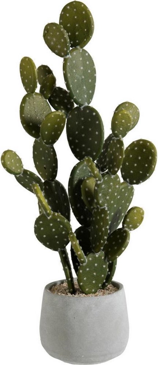 2Pcs Plante Artificielle Grande, Cactus Artificiel, H: 64Cm Plante