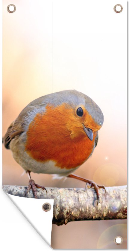 Affiche de jardin Robin - Branche - Arbre - 40x80 cm - Décoration murale Extérieur - Affiche de jardin - Toile de jardin - Affiche de clôture - Peinture de jardin