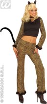 Leeuw & Tijger & Luipaard & Panter Kostuum | Luipaard Dame Purring Leopard Kostuum Vrouw | Small | Carnaval kostuum | Verkleedkleding