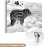 MuchoWow® Glasschilderij 180x120 cm - Schilderij acrylglas - Jong everzwijn in de sneeuw - zwart wit - Foto op glas - Schilderijen
