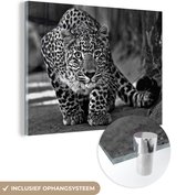 MuchoWow® Glasschilderij 160x120 cm - Schilderij acrylglas - Close-up luipaard - zwart wit - Foto op glas - Schilderijen