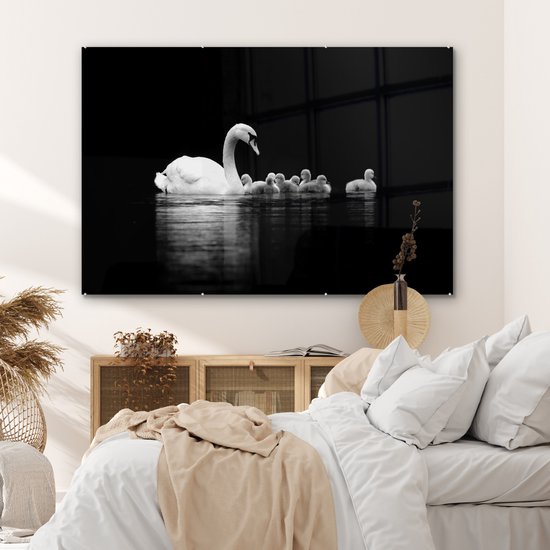 MuchoWow® Tableau en verre 150x100 cm - Peinture acrylique sur verre - Cygnes sur fond noir - noir blanc - Photo sur verre - Tableaux