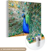 MuchoWow® Glasschilderij 90x90 cm - Schilderij acrylglas - Pauw - Veren - Blauw - Foto op glas - Schilderijen