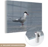 MuchoWow® Glasschilderij 60x40 cm - Schilderij acrylglas - Noordse stern op het strand - Foto op glas - Schilderijen