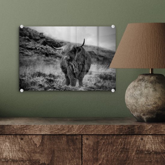 MuchoWow® Peinture sur verre 30x20 cm - Peinture acrylique sur verre - Highlander écossais sur une colline - noir et blanc - Photo sur verre - Peintures