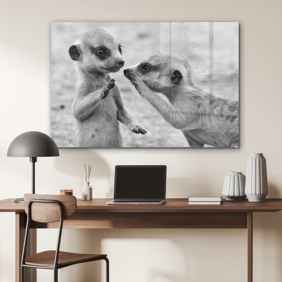 MuchoWow® Peinture sur verre 120x80 cm - Peinture acrylique sur verre - Deux suricates - noir et blanc - Photo sur verre - Peintures