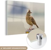 MuchoWow® Glasschilderij 180x120 cm - Schilderij acrylglas - Leeuwerik op een paal - Foto op glas - Schilderijen