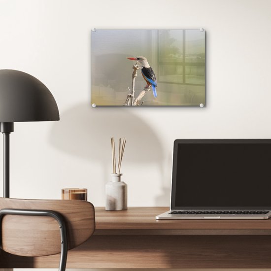 ® Glasschilderij 30x20 cm - Schilderij acrylglas - Grijskopijsvogel klimt naar de top van een tak - Foto op glas - Muurdecoratie woonkamer - Wanddecoratie slaapkamer - Schilderijen