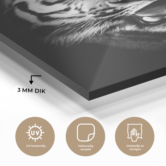 Peinture sur verre - Tête de tigre fond noir - noir et blanc - 20x30 cm - Peintures sur Verre Peintures - Photo sur Glas