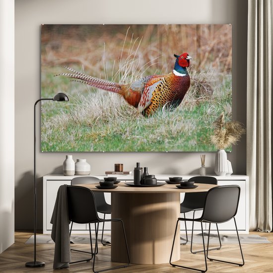 Un faisan coloré dans la prairie en hiver Plexiglas 180x120 cm - Tirage photo sur Glas (décoration murale plexiglas) XXL / Groot format!