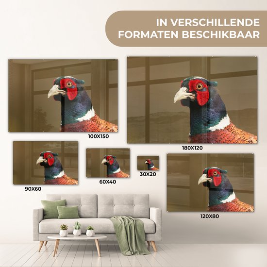 Un gros plan d'un faisan coloré en plexiglas 60x40 cm - Tirage photo sur Glas (décoration murale en plexiglas)