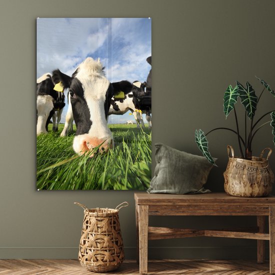 Gros plan d'une vache frisonne broutant Plexiglas 60x90 cm - Tirage photo sur Glas (décoration murale en plexiglas)