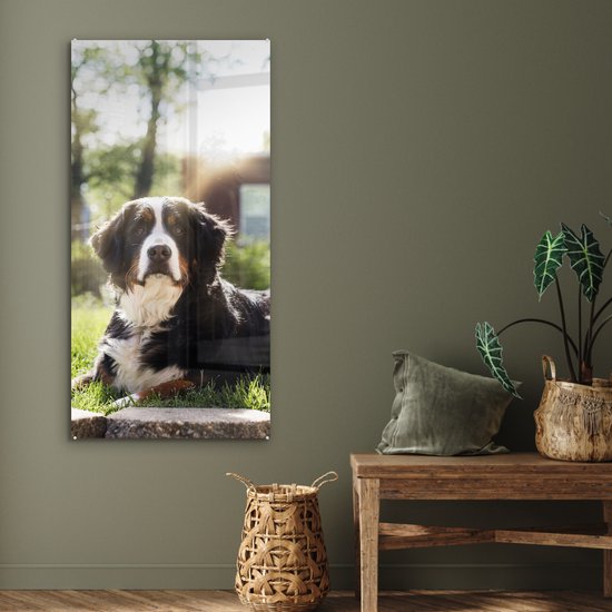 MuchoWow® Peinture sur verre 60x120 cm - Peinture sur verre - Rayons de soleil le long du bouvier Berner - Photo sur verre acrylique - Peintures