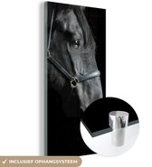 MuchoWow® Glasschilderij 40x80 cm - Schilderij acrylglas - Paard - Zwart - Halster - Foto op glas - Schilderijen
