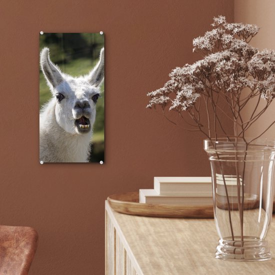 MuchoWow® Peinture sur verre 20x40 cm - Peinture sur verre acrylique - Lama - Drôle - Enfants - Garçons - Filles - Kids - Photo sur verre - Peintures