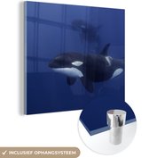 MuchoWow® Glasschilderij 90x90 cm - Schilderij acrylglas - Twee orka's in helder water - Foto op glas - Schilderijen
