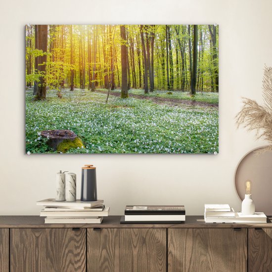 MuchoWow® Peinture sur verre 60x40 cm - Peinture acrylique sur verre - Forêt verte illuminée par des rayons de lumière - Photo sur verre - Peintures
