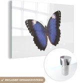 MuchoWow® Glasschilderij 30x20 cm - Schilderij acrylglas - Vlinder - Blauw - Zwart - Foto op glas - Schilderijen