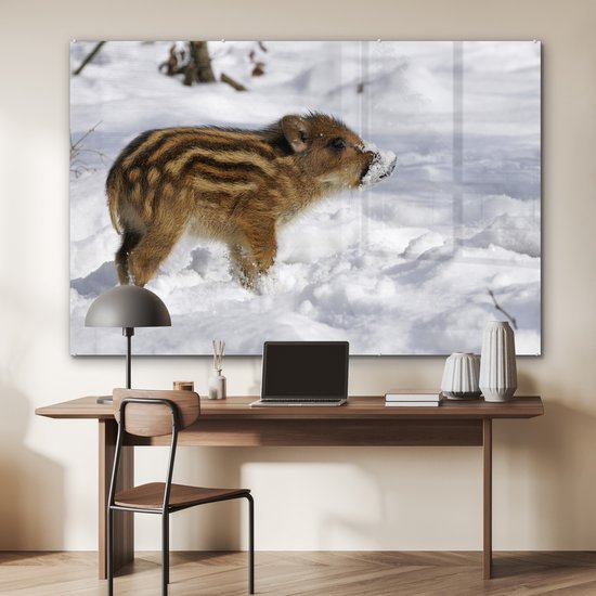 Peinture sur Verre - Sanglier - Animal - Neige - 150x100 cm - Peintures sur Verre Peintures - Photo sur Glas