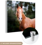 MuchoWow® Glasschilderij 90x90 cm - Schilderij acrylglas - Paard - Licht - Gras - Foto op glas - Schilderijen