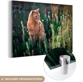 MuchoWow® Glasschilderij 60x40 cm - Schilderij acrylglas - Kat - Bloemen - Vacht - Foto op glas - Schilderijen