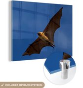 MuchoWow® Glasschilderij 120x90 cm - Schilderij acrylglas - Grote vleermuis in vlucht - Foto op glas - Schilderijen