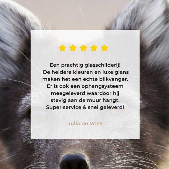 MuchoWow® Glasschilderij 30x20 cm - Schilderij acrylglas - Vos - Welp - Vacht - Foto op glas - Schilderijen