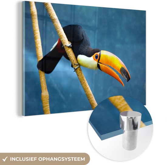 MuchoWow® Peinture sur verre 180x120 cm - Peinture sur verre acrylique - Toucan coloré sur une fine branche - Photo sur verre - Peintures